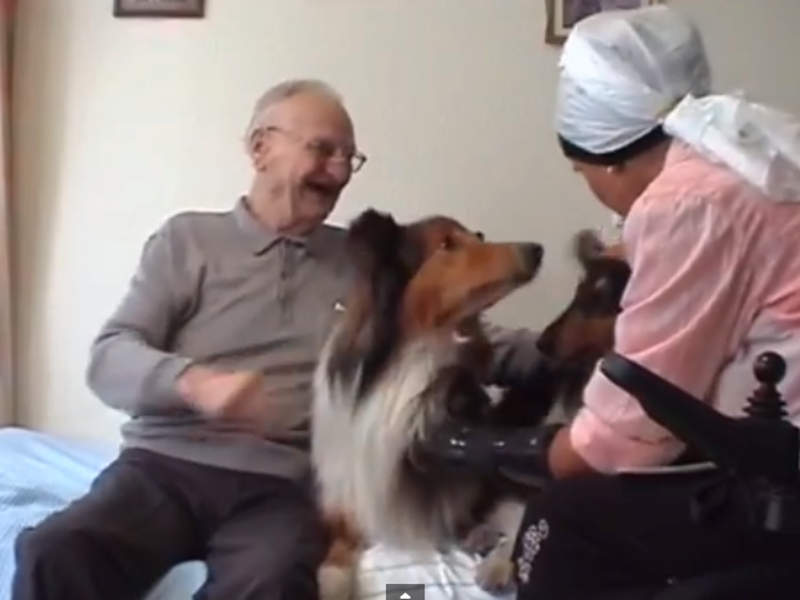 Tiergestützte Therapie Senioren