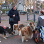 Erstes Kennenlernen 🤝 an einem neutralen Ort 🏢 zwischen zukünftigen neuen Klienten 👨‍👩‍👧‍👦 und dem Ausbildungsteam 💞👣🐾